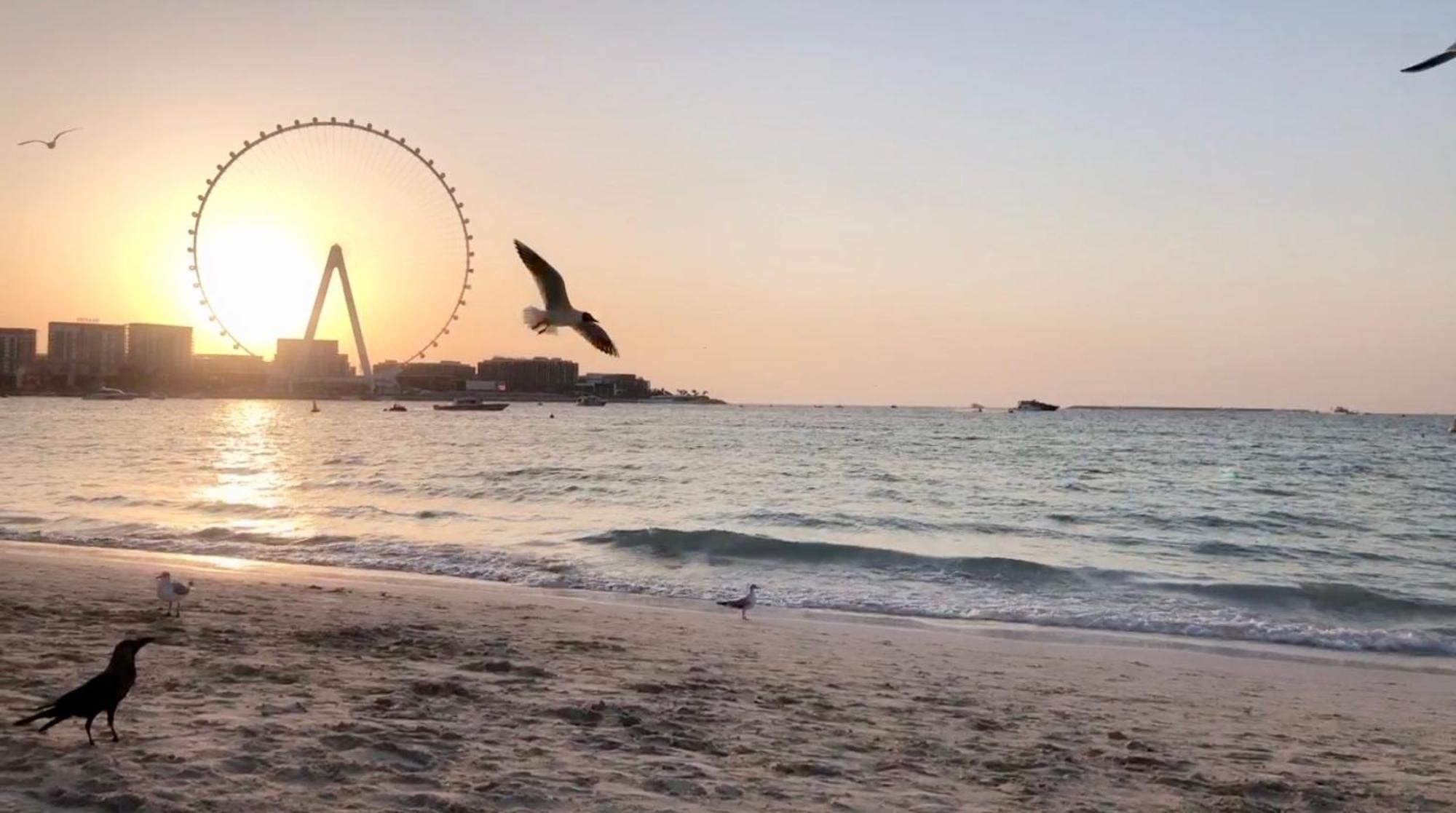 Jbr Beachfront Luxe Apartment All Rooms Sea Facing Ντουμπάι Εξωτερικό φωτογραφία
